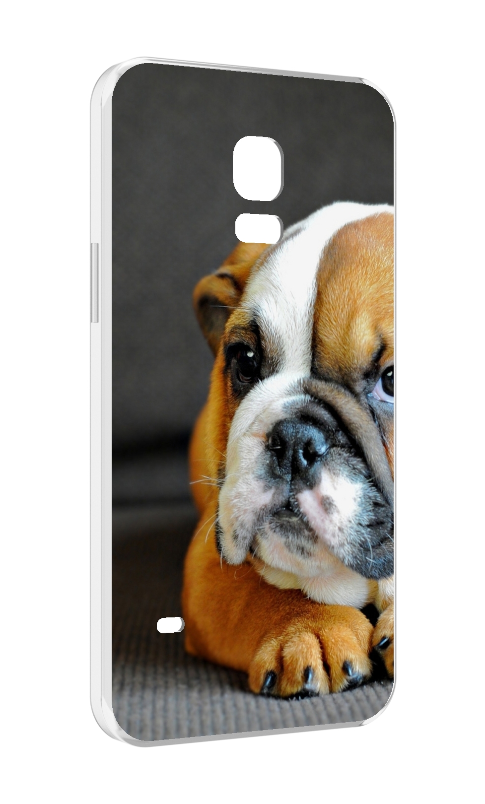 

Чехол MyPads англиискии бульдор для Samsung Galaxy S5 mini, Прозрачный, Tocco