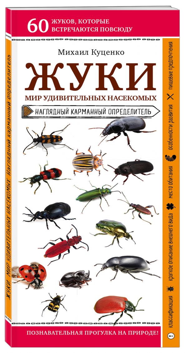 фото Книга жуки. мир удивительных насекомых эксмо