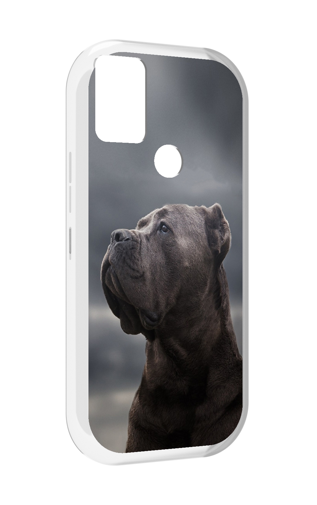 

Чехол MyPads кане корсо для UMIDIGI A9, Прозрачный, Tocco