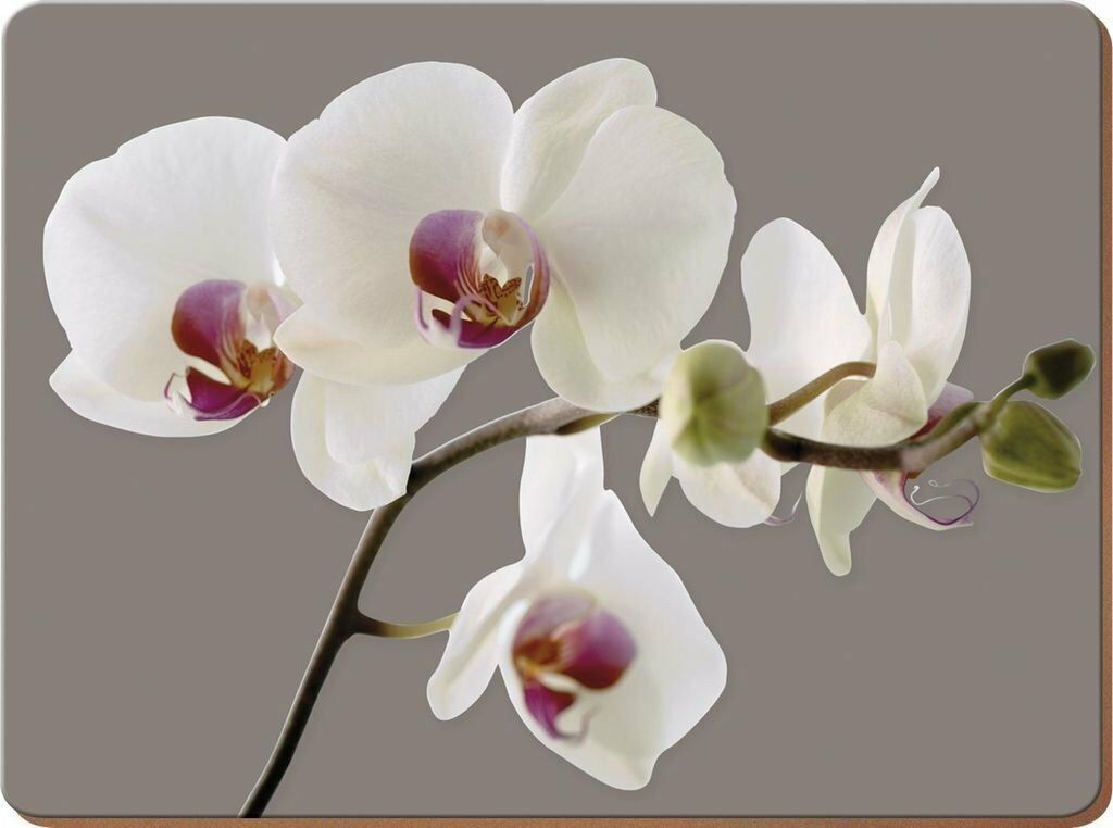 фото Подставки на пробке средние гармония орхидей 30х23 см (6шт) creative tops