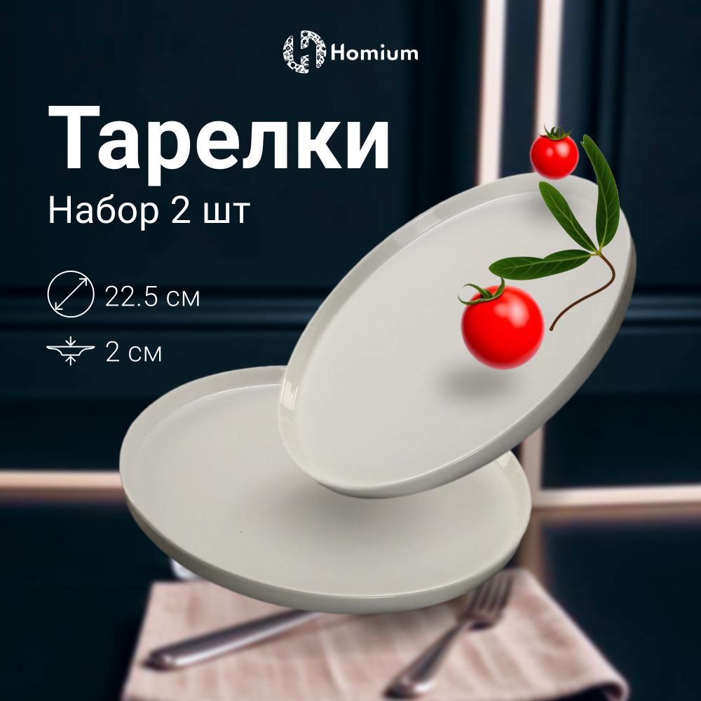 Набор обеденных сервировочных тарелок ZDK Collection, 2 шт, цвет белый, D22.5