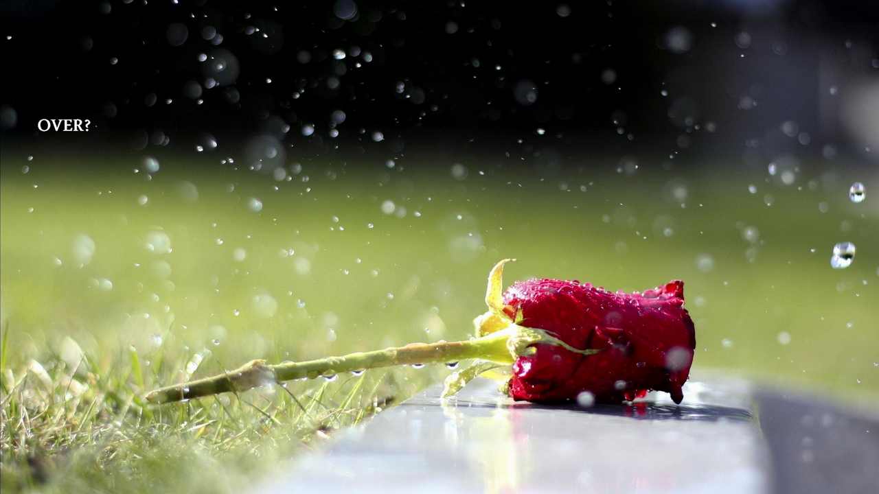 

Картина на холсте LinxOne 60x110 Природа пейзаж натура флора