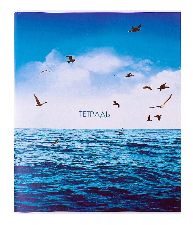 

Тетрадь Calligrata "Морской пейзаж", эко 96 листов в линейку