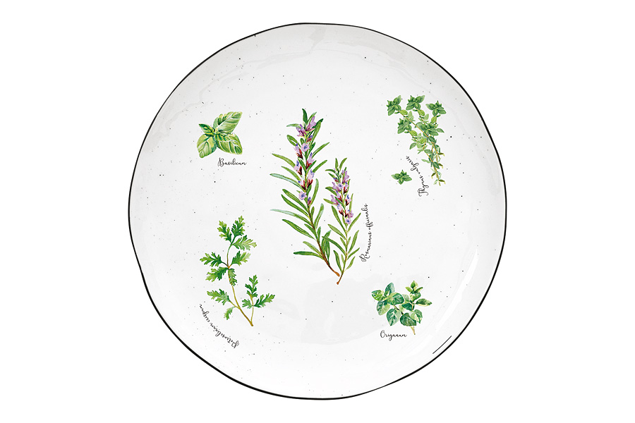 

Тарелка обеденная Easy Life Herbarium 26 см EL-R2200-HERU, Белый