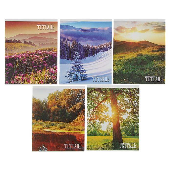 

Тетрадь 48 листов в клетку Calligrata "Времена года", обложка мелованная бумага, блок №2,