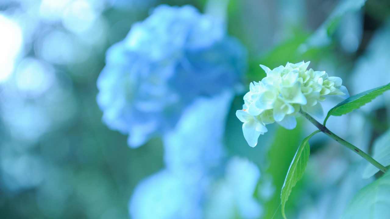 

Картина на холсте LinxOne 60x110 Природа пейзаж натура флора