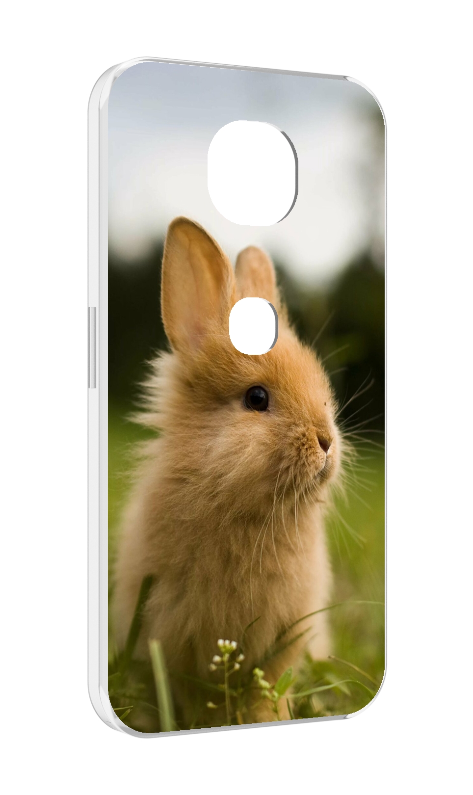 

Чехол MyPads Кролик для Motorola Moto G5S (XT1799-2), Прозрачный, Tocco