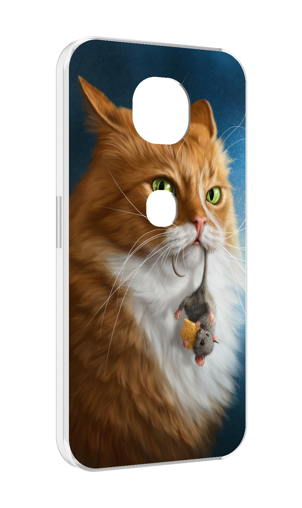 Чехол MyPads Кот-и-мышь для Motorola Moto G5S (XT1799-2)