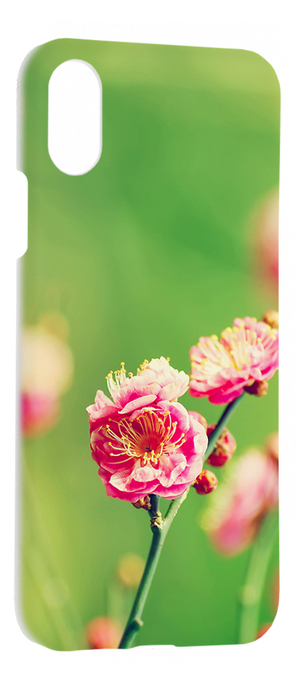 фото Чехол-накладка для apple iphone x/xs (белый) (дизайн 72) gsmin