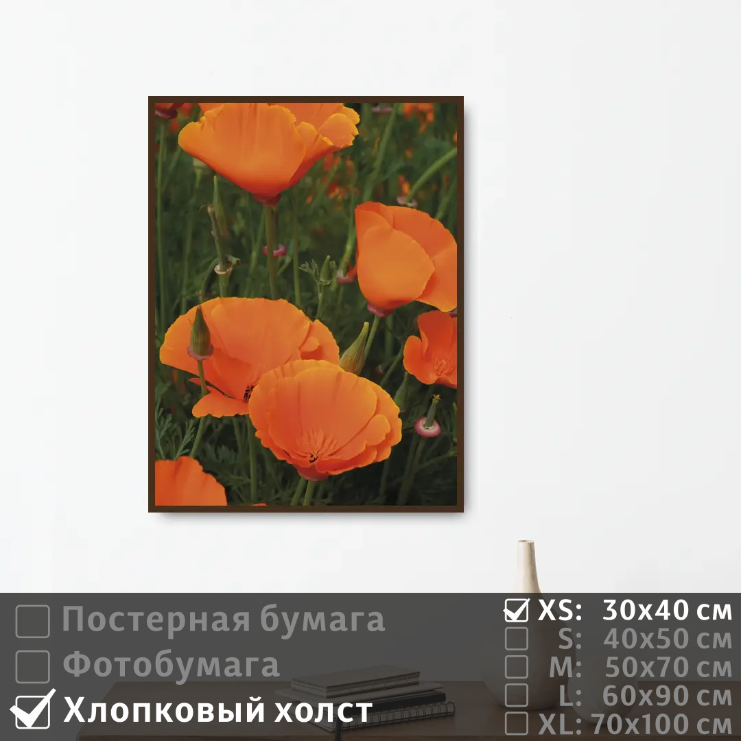 

Постер на холсте ПолиЦентр Летние оранжевые маки 30х40 см, ЛетниеОранжевыеМаки