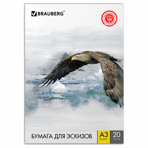 

Папка для рисования А3 20л Brauberg 160 г/кв.м 125228 10шт, Разноцветный