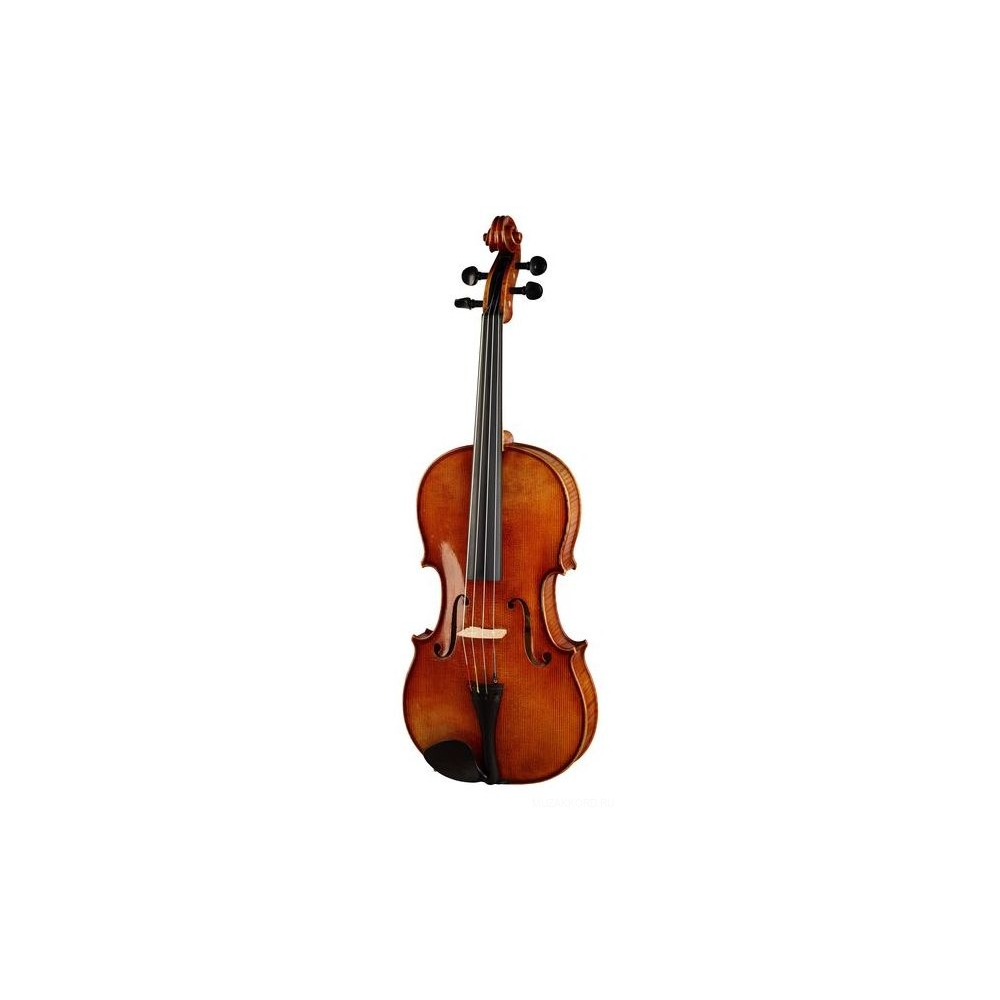 

Karl Hofner As-060-va 15,5 - Альт