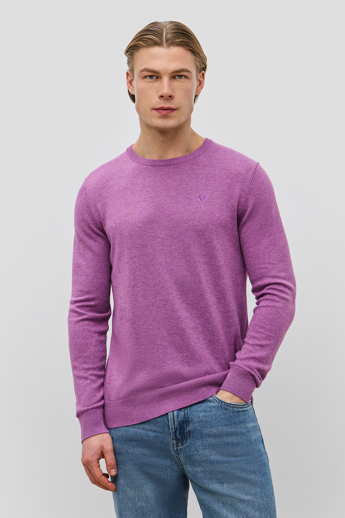 

Джемпер мужской Baon B631202 фиолетовый L, B631202