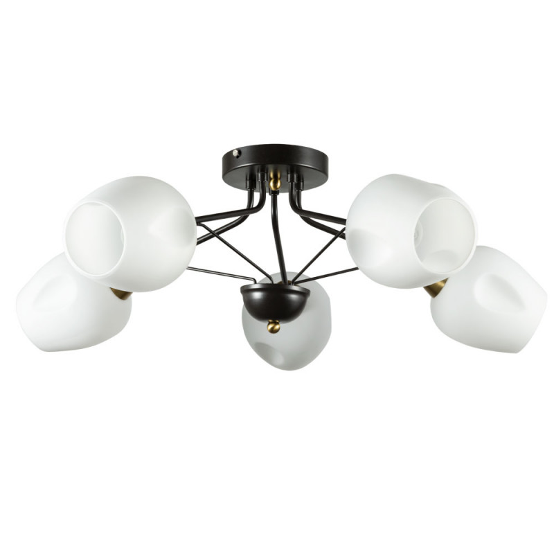 

Потолочная люстра ARTE Lamp A2706PL-5CK