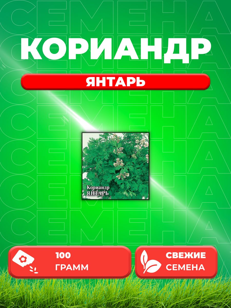 

Семена Кориандр Янтарь 100 г