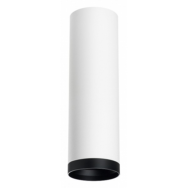 

Накладной светильник Lightstar Rullo R64963487