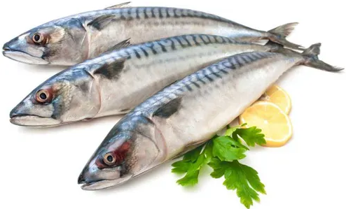 

Скумбрия атлантическая свежемороженая +-500 г