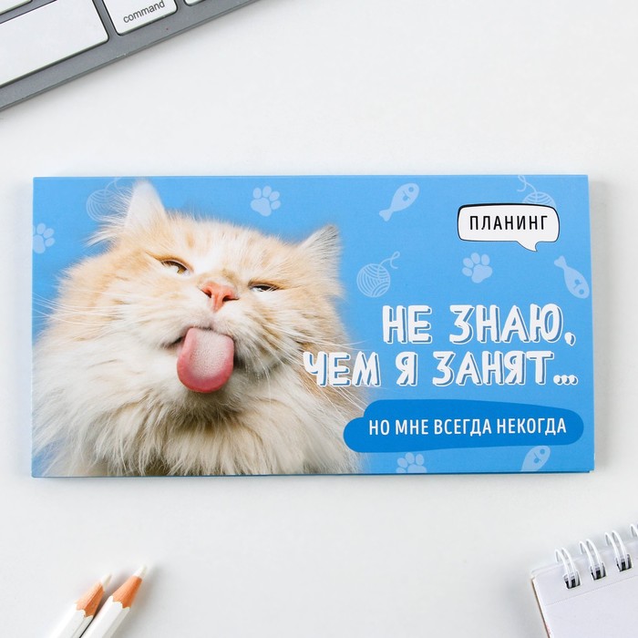 

Планинг с отрывными листами «Кот», мягкая обложка, 30 листов