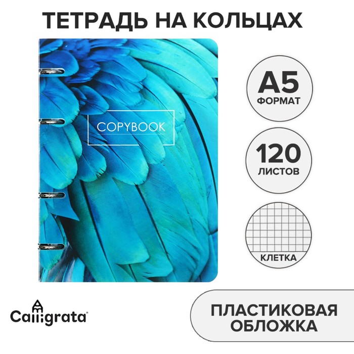 

Тетрадь на кольцах, в клетку, 120 листов "Экзотика", пластиковая обложка, блок офсет