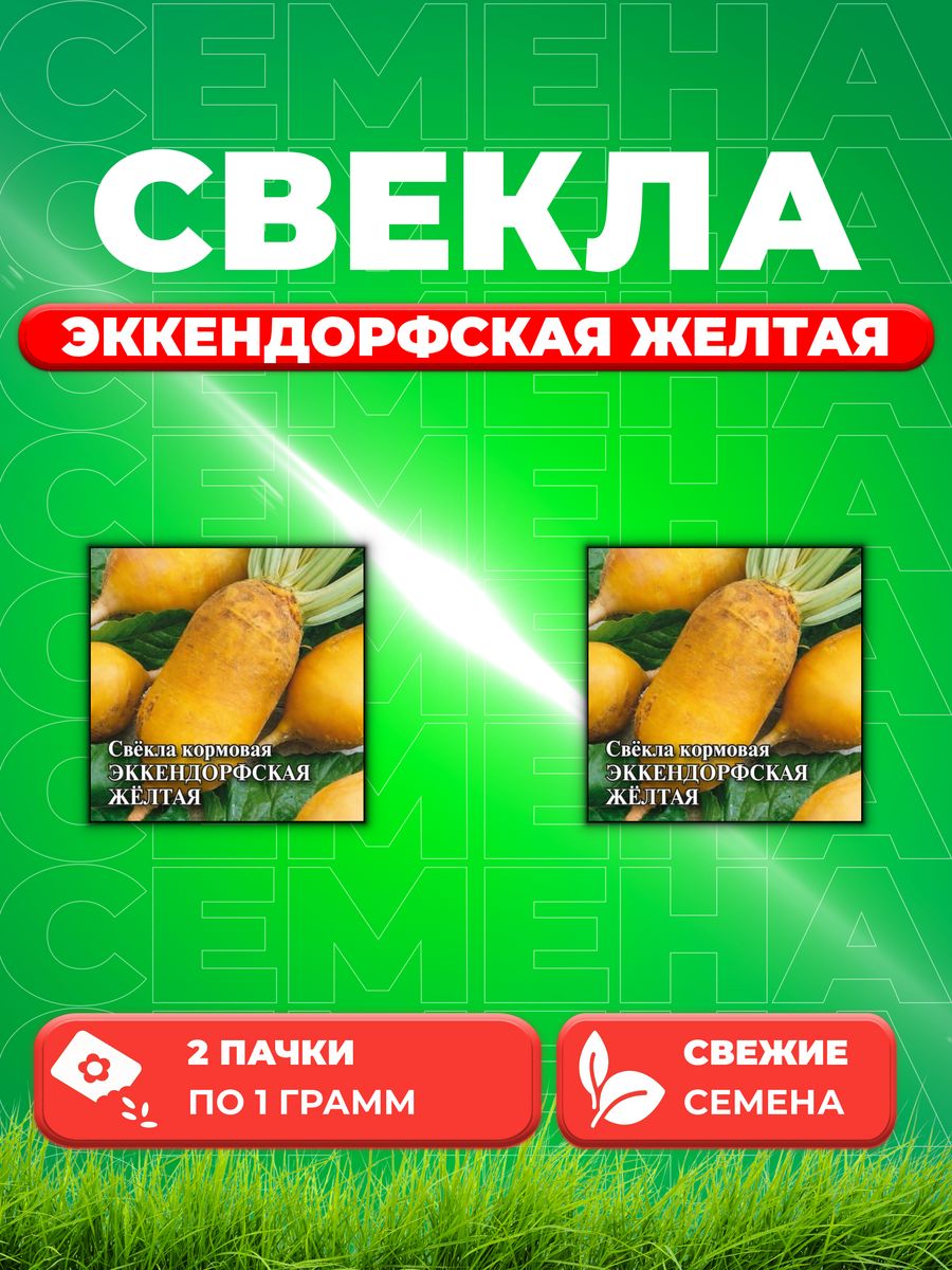 

Семена свекла Гавриш Эккендорфская, Желтая 1911883-2 2 уп.