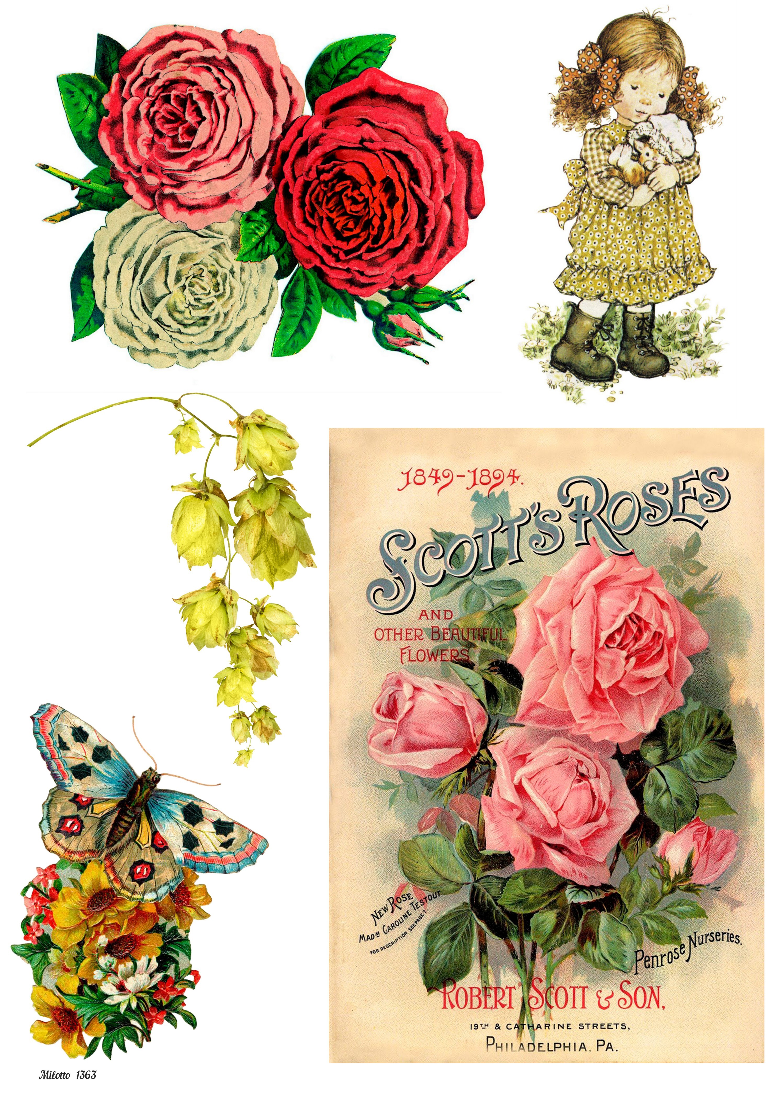 

Декупажная карта А4 Milotto 1363 цветы розы девочка винтаж крафт