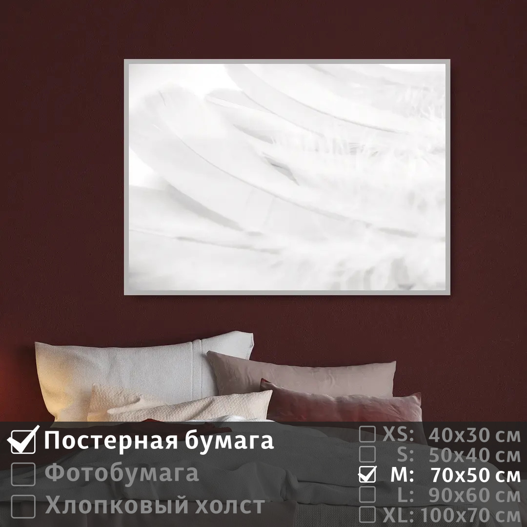 

Постер на стену ПолиЦентр Перо в белых тонах 70х50 см, ПероВБелыхТонах