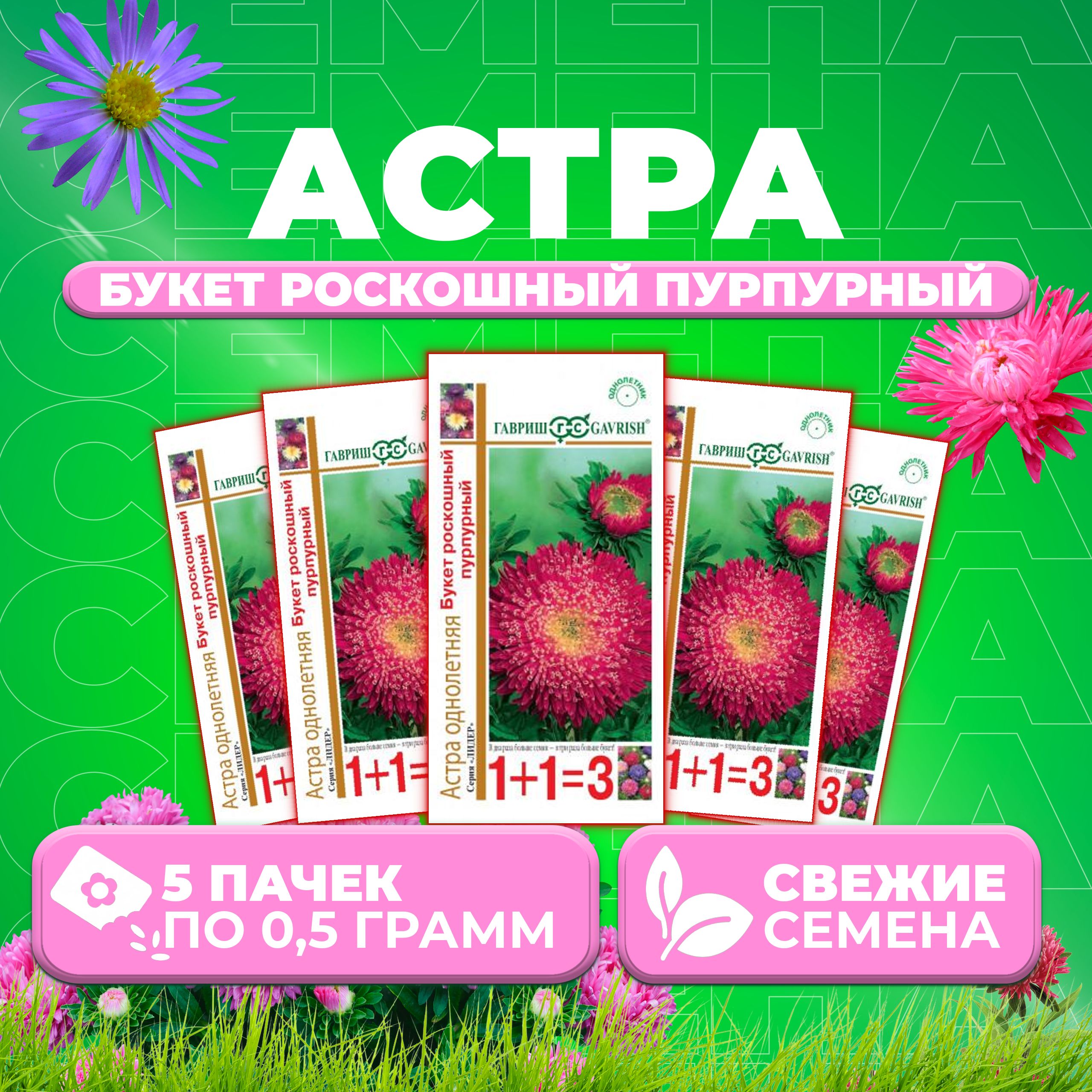 

Семена Астра Букет роскошный пурпурный, 0,5г, Гавриш, серия Лидер 1+1 5 уп