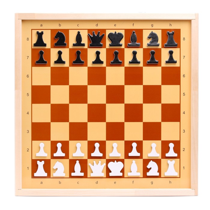 Шахматы и шашки демонстрационные магнитные (мини) демонстрационные шахматы 40 х 40 см