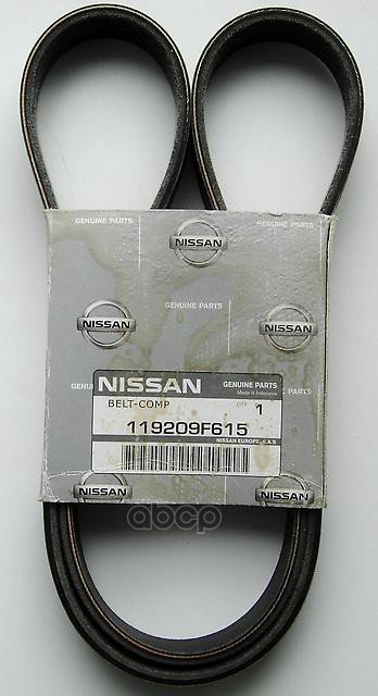 Ремень NISSAN арт. 119209F615