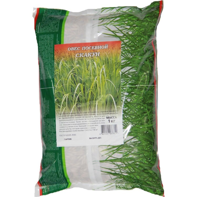 Семена газонных трав и сидератов Гавриш Овес посевной Скакун вес 1 кг