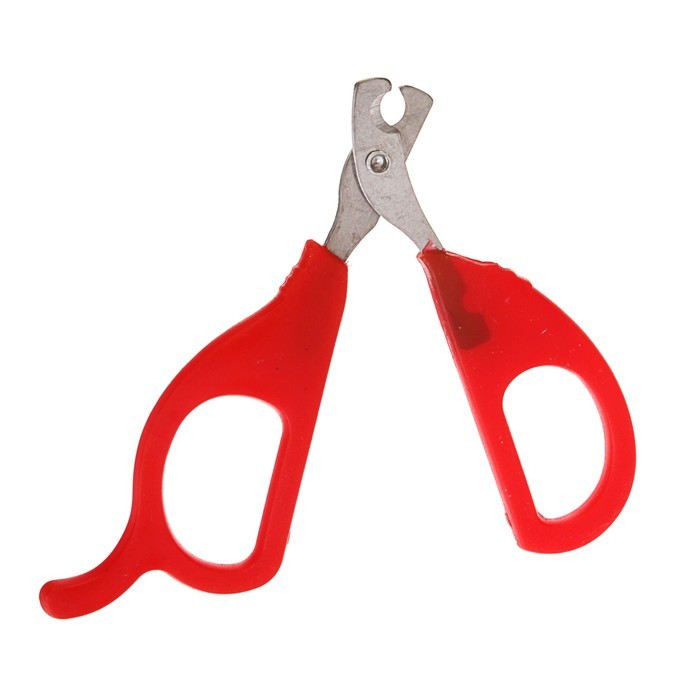 Когтерез-ножницы для животных, 10.5х6 см (Цвет: Красный  )