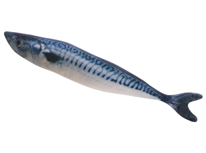 

Мягкая игрушка-антистресс для кошек Скумбрия длина 20 см