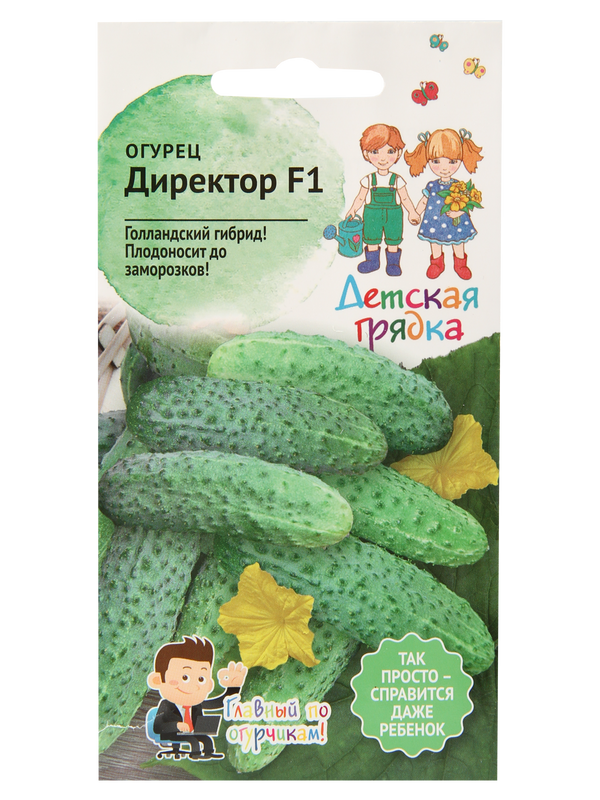 

Семена огурец АгроСидсТрейд Директор F1 T02975-AGS 1 уп., Директор