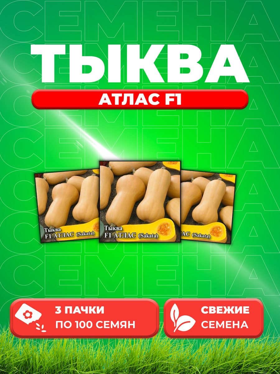 

Семена тыква Гавриш Атлас F1 1910747-3 3 уп.