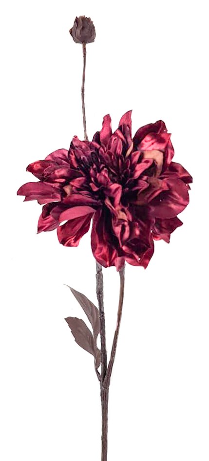 

Георгина (12) ДомРан 709-126