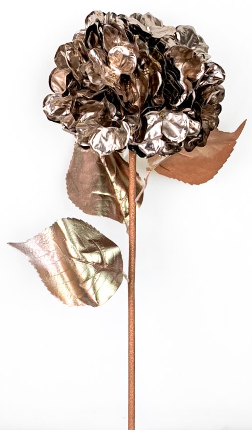 

Гортензия (шампань) (12) ДомРан 824-011