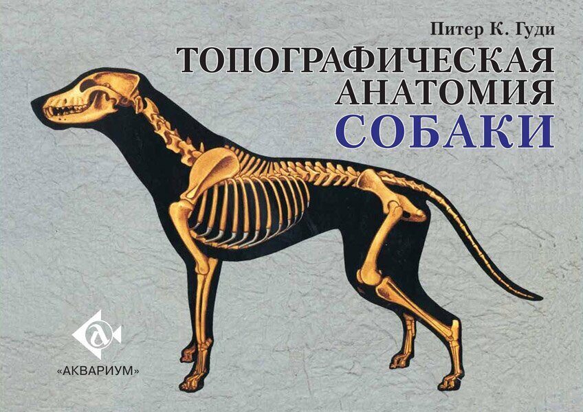 фото Книга топографическая анатомия собаки аквариум-принт