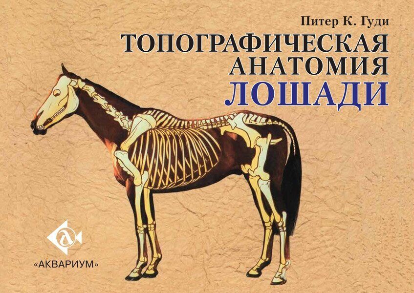 фото Книга топографическая анатомия лошади аквариум-принт