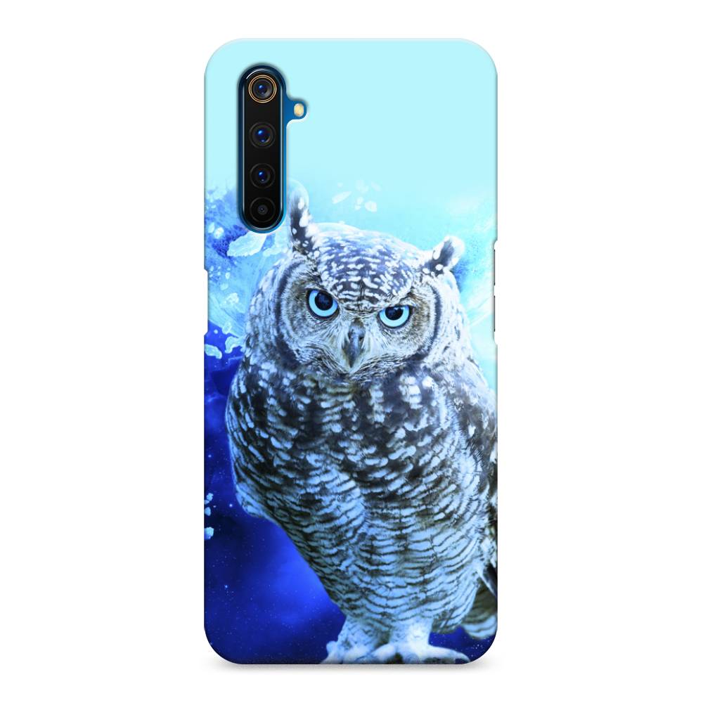 

Пластиковый чехол "Сова арт 7" на Realme 6 Pro, 252820-1