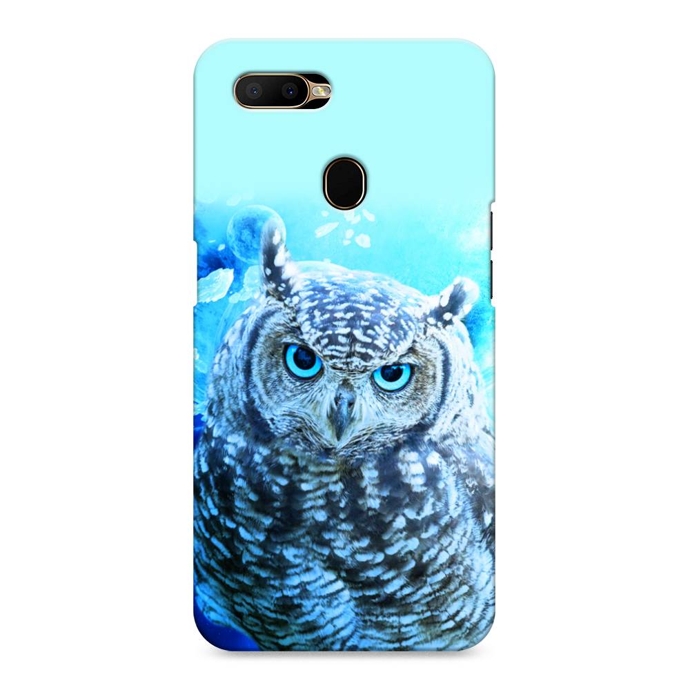 

Пластиковый чехол "Сова арт 7" на Oppo A5s, 252320-1