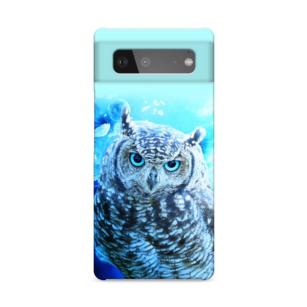 

Пластиковый чехол "Сова арт 7" на Google Pixel 6, 270820-1