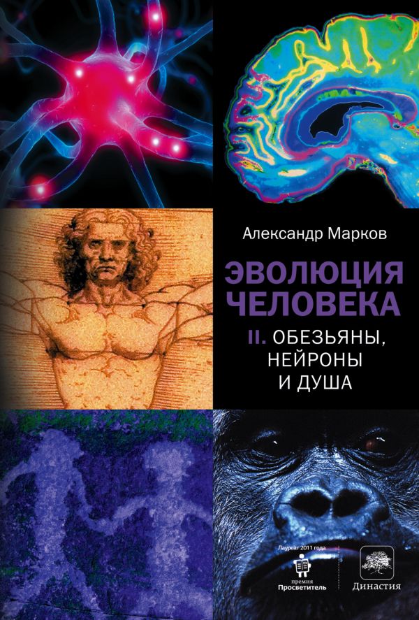 фото Книга эволюция человека. [в 2 книгах.] книга 2. обезьяны, нейроны и душа corpus