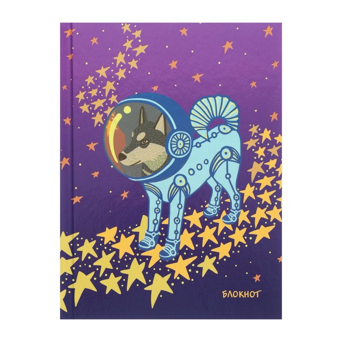 

Блокнот Listoff Positive Book А6, 64л, твердая обложка, глянцевая ламинация