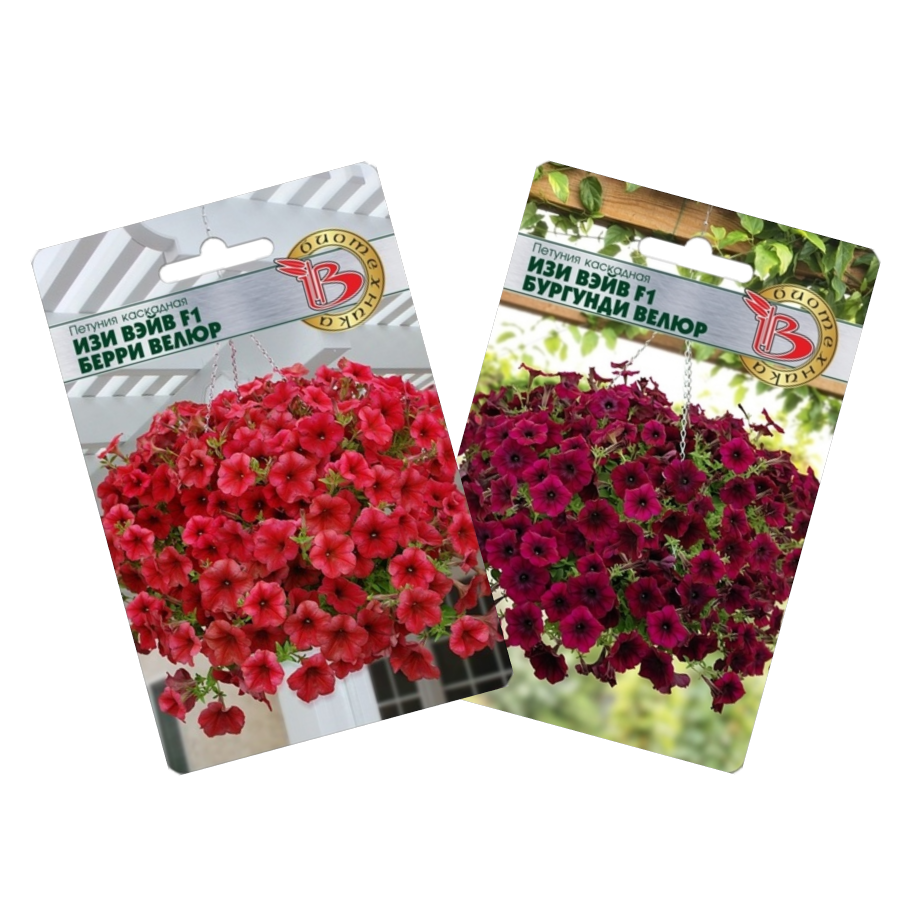 

Семена петуния Биотехника Изи вэйв F1 К0018 2 уп.