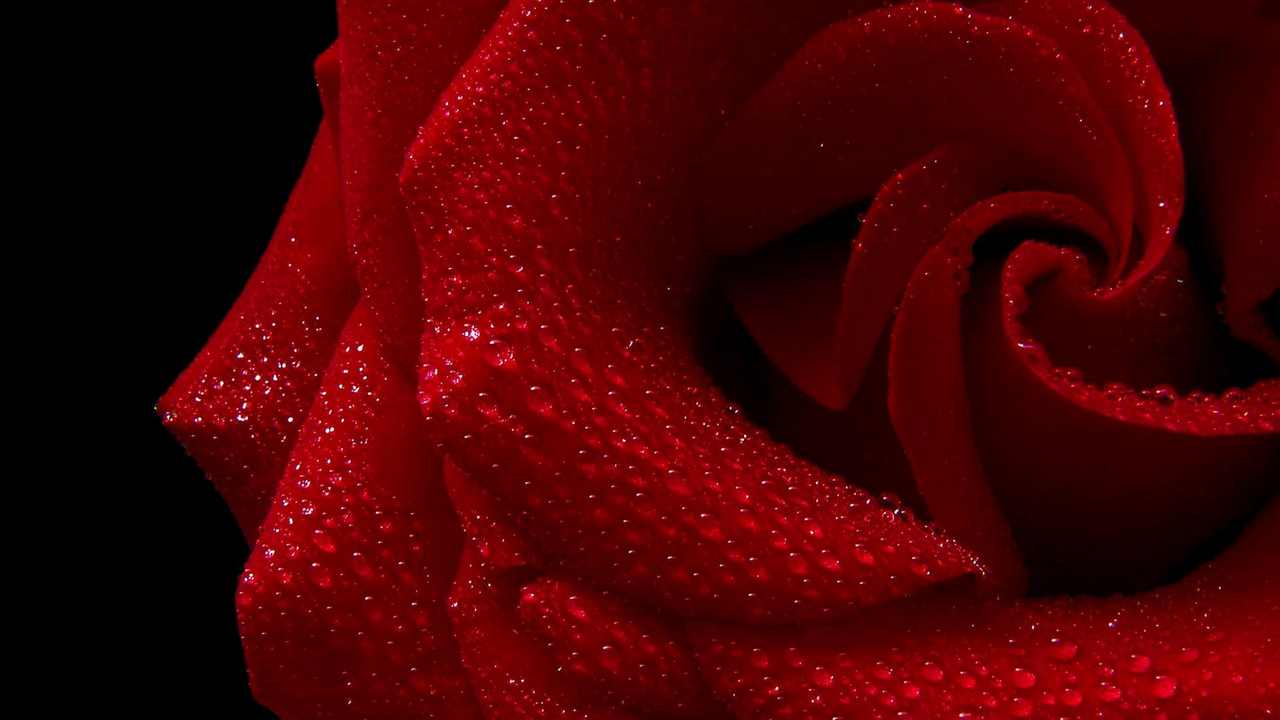 

Картина на холсте LinxOne 60x110 Природа пейзаж натура флора