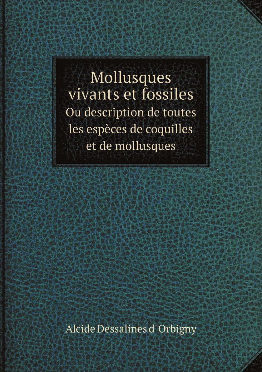

Mollusques vivants et fossiles