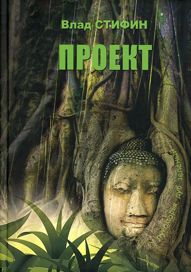 фото Книга проект стрекоза