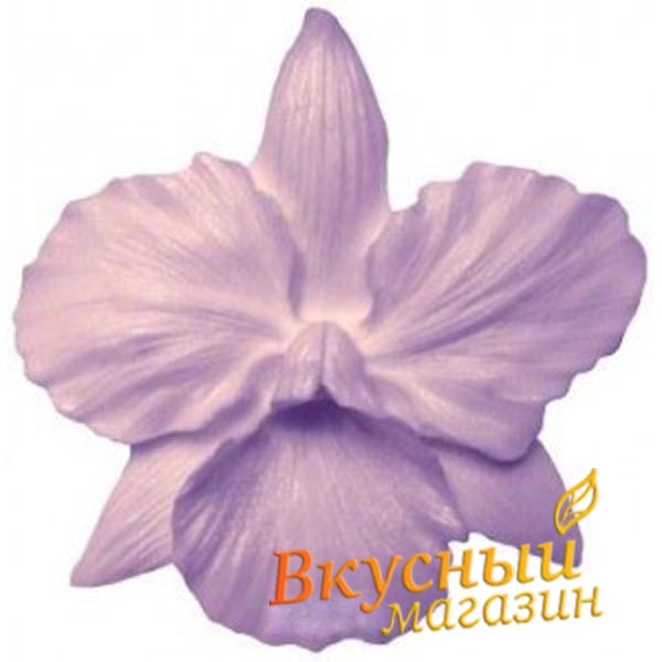 

Молд для шоколада/мастики силиконовый Орхидея Фаленопсис, 5х5 см.