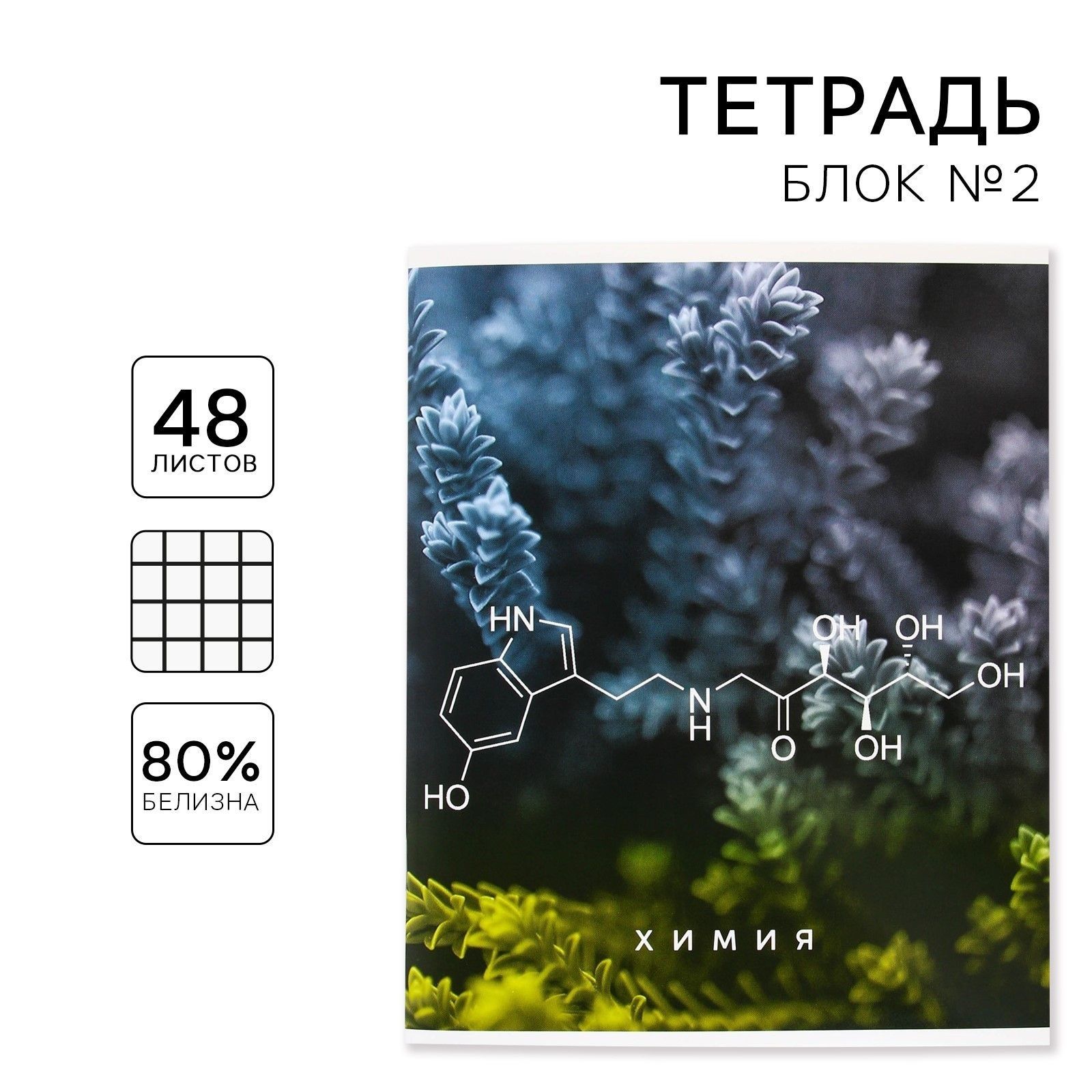 

Тетрадь предметная 48 листов, А5, ПРИРОДА, со справочными материалами Химия