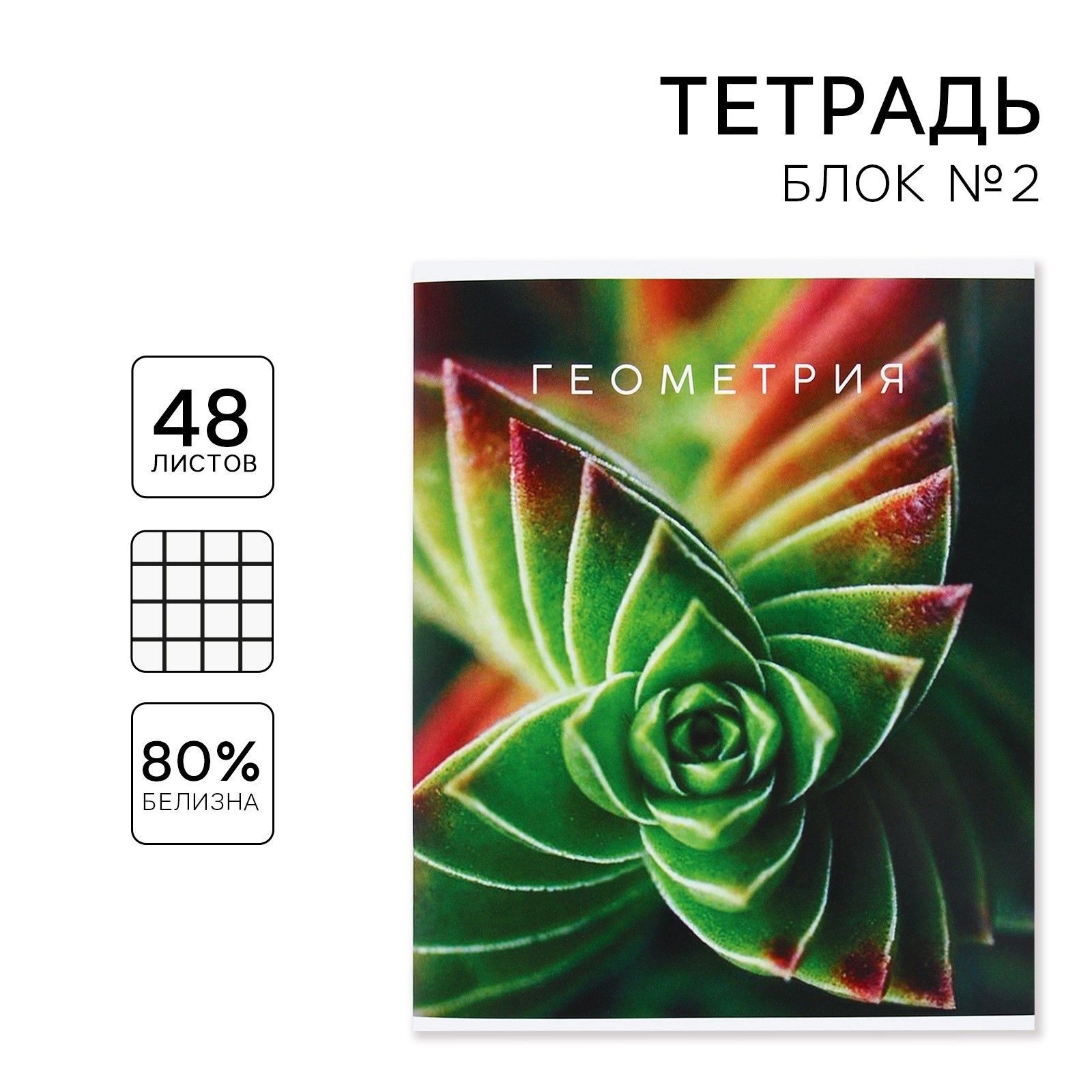 

Тетрадь предметная 48 листов, А5, ПРИРОДА, со справочными материалами Геометрия